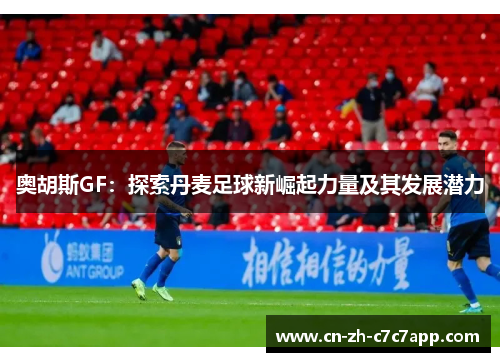 奥胡斯GF：探索丹麦足球新崛起力量及其发展潜力