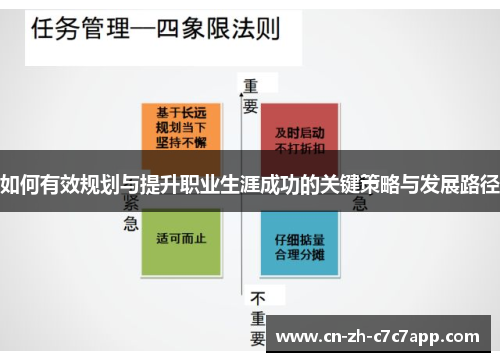 如何有效规划与提升职业生涯成功的关键策略与发展路径